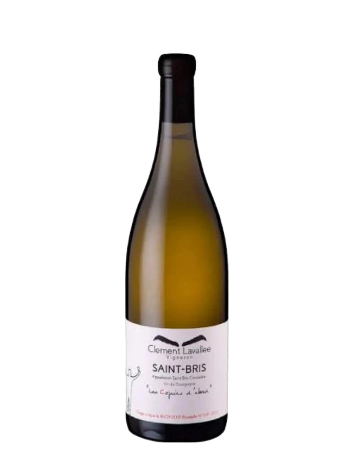DOMAINE CLÉMENT LAVALLÉE Saint Bris Les Copains d'Abord