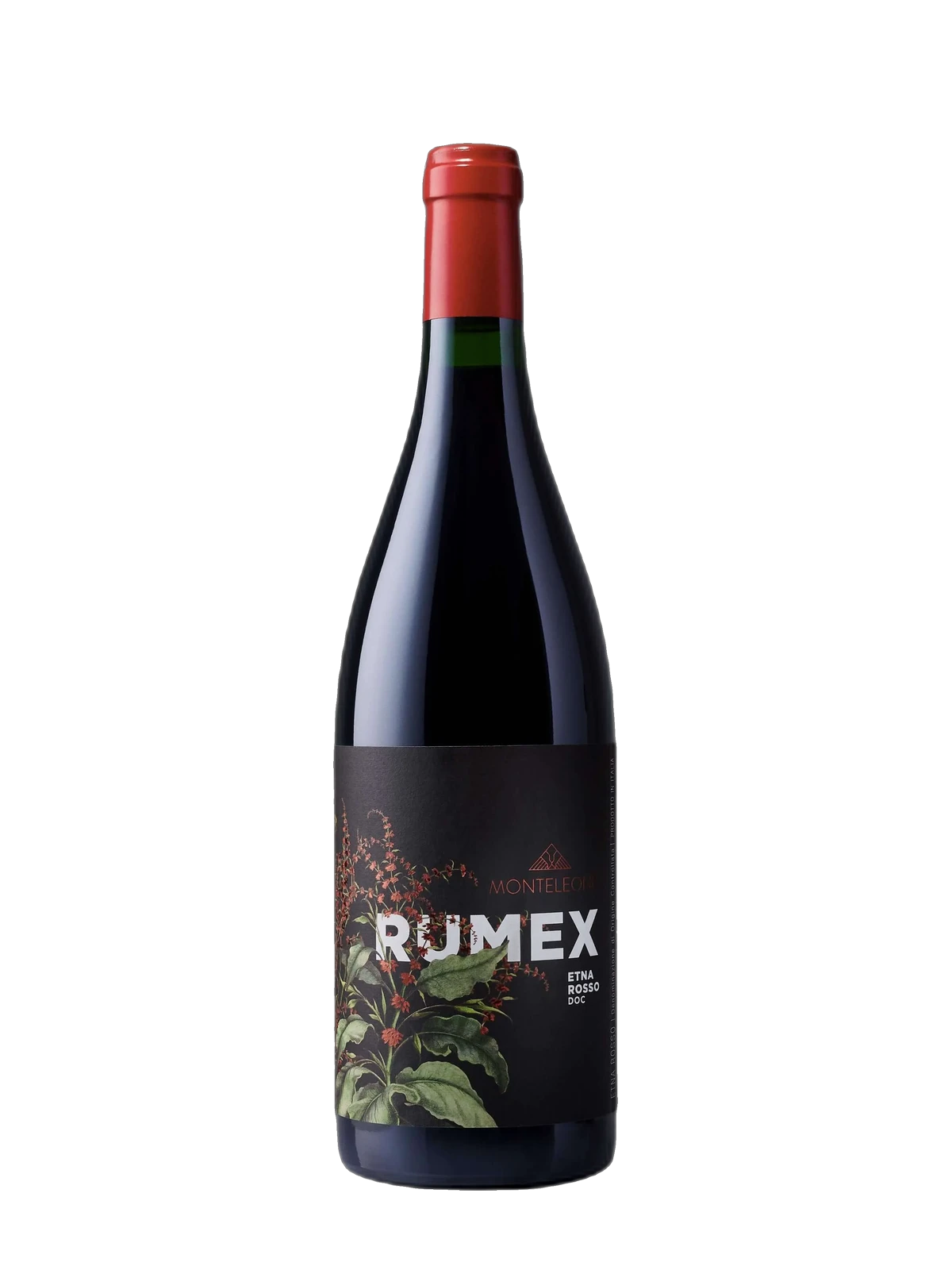 Monteleone Etna Rumex