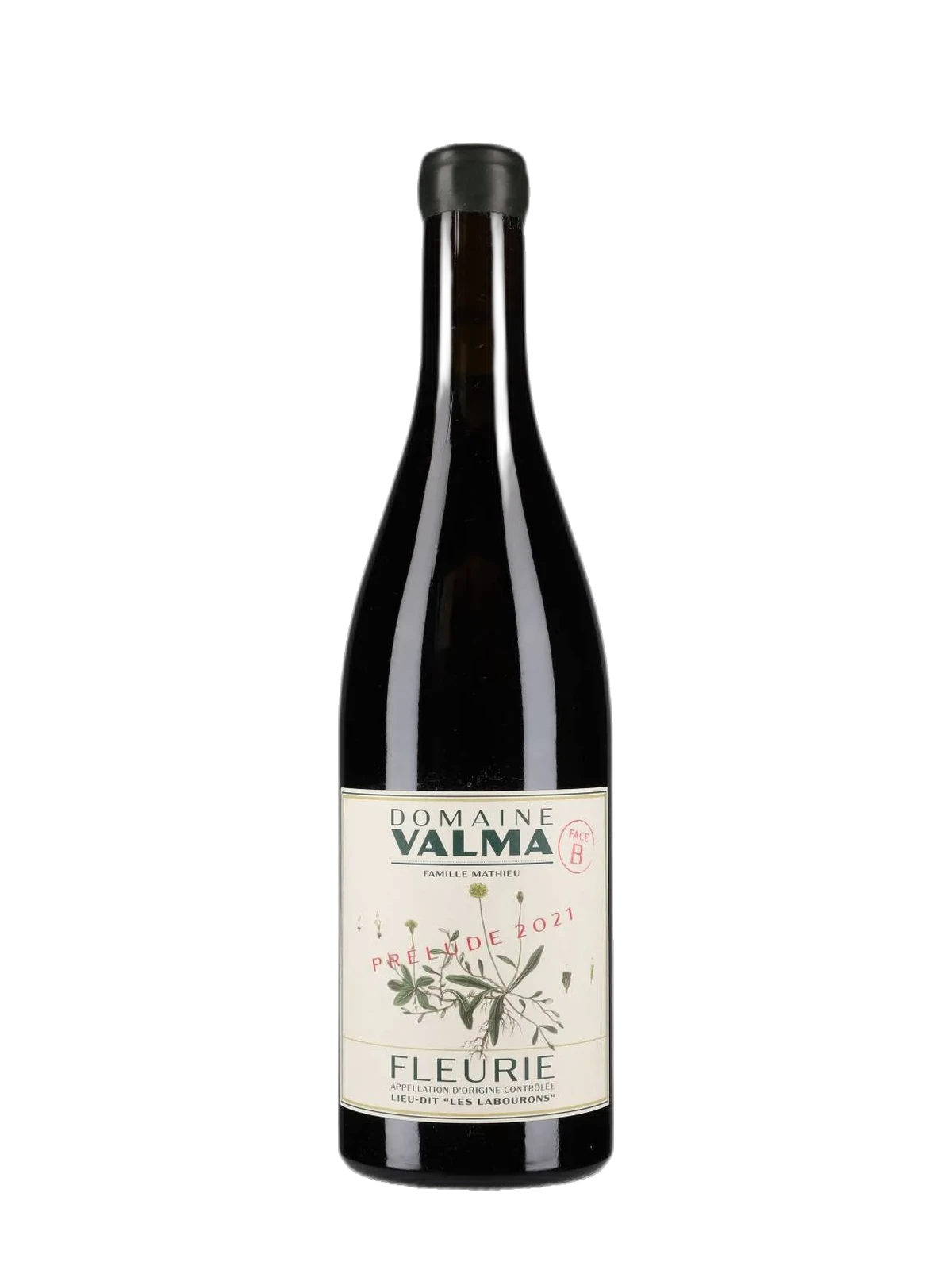 DOMAINE VALMA - VALENTINE ET STÉPHANE MATHIEU Fleurie Les Labourons