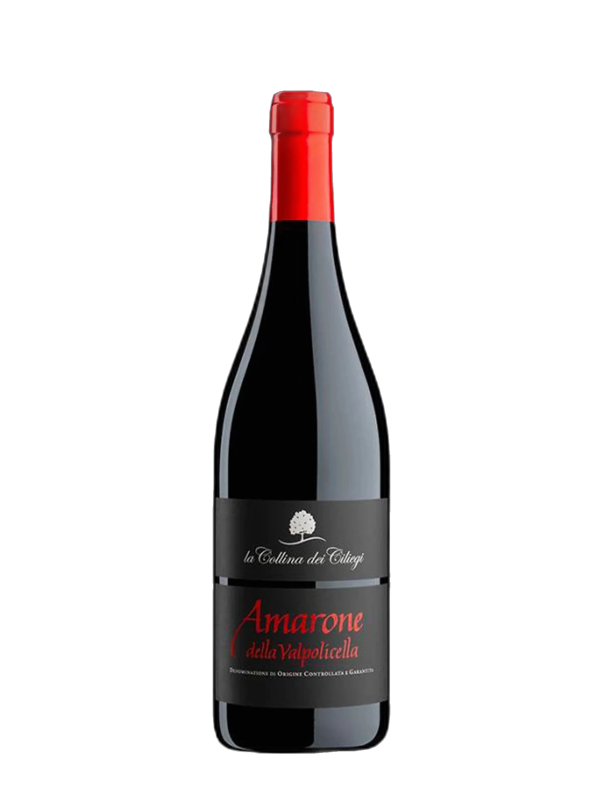 La Collina dei Ciliegi Amarone della Valpolicella