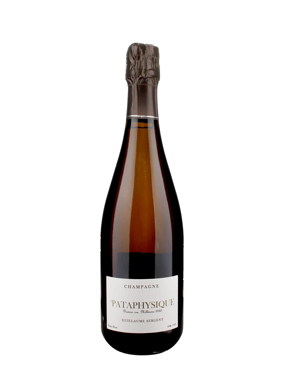 GUILLAUME SERGENT Pataphysique Extra Brut