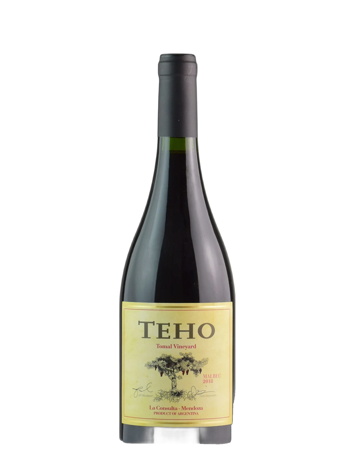 Bodega TintoNegro Teho Malbec