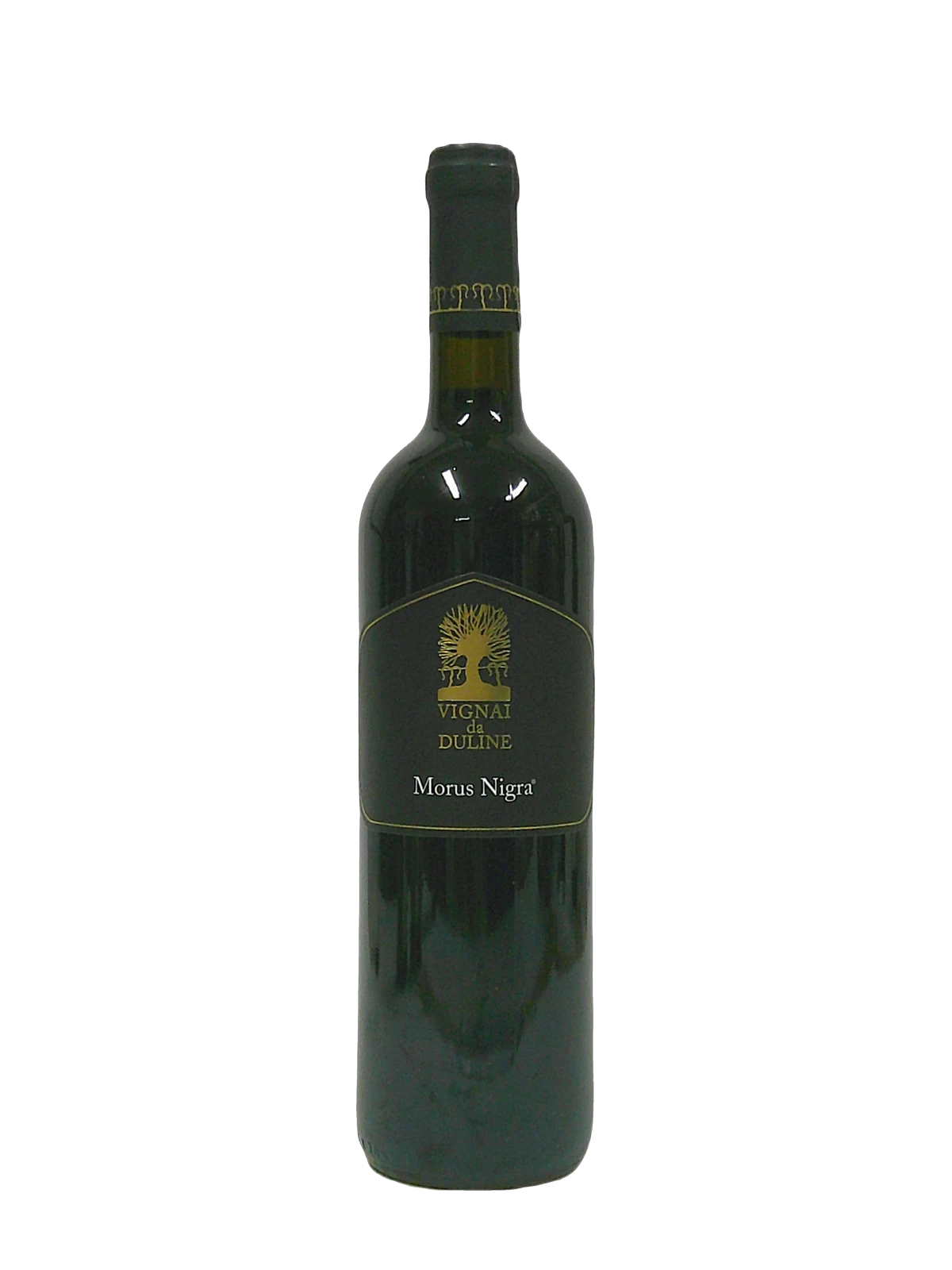 Vignai da Duline Refosco dal peduncolo rosso Morus Nigra