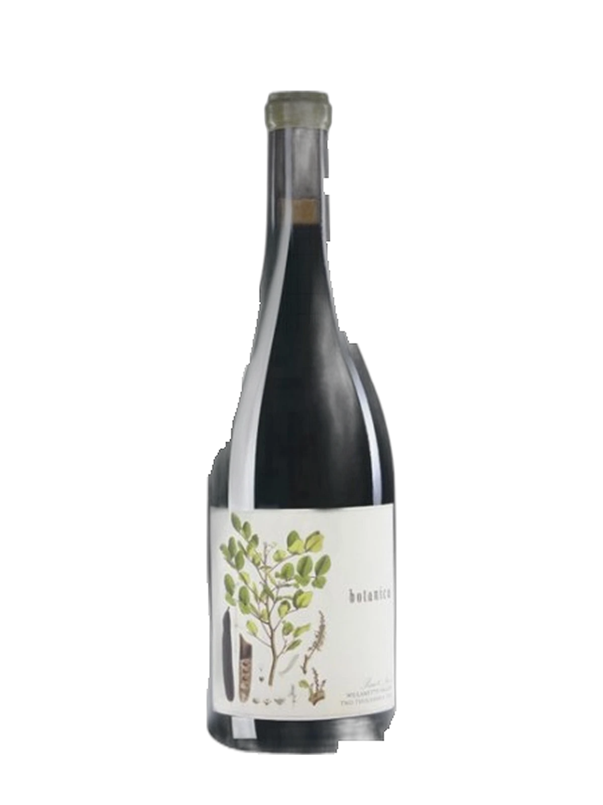 ANTICA TERRA Botanica Pinot Noir