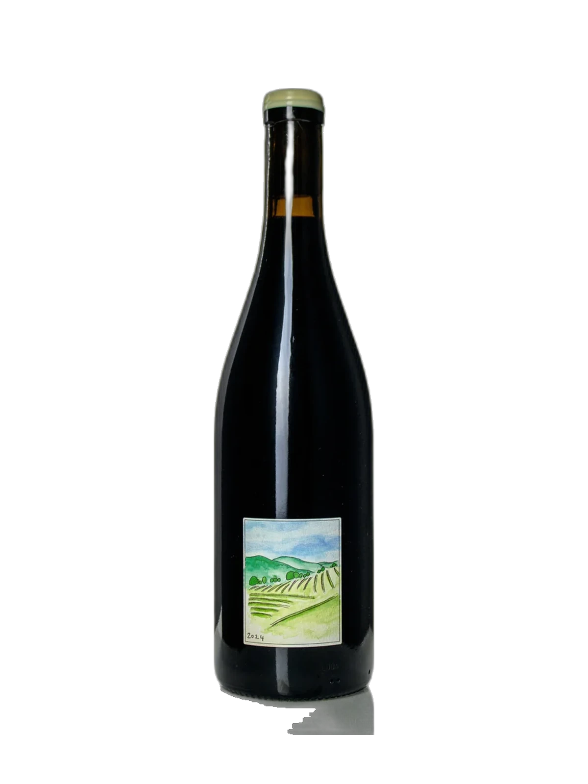 WILL ARNOLD Syrah