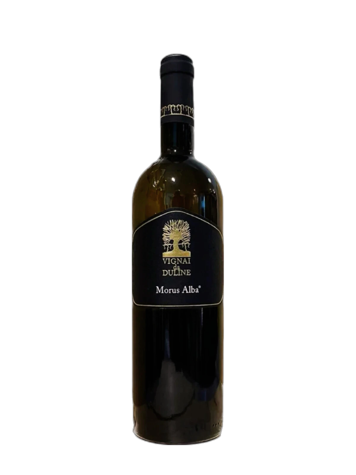 Vignai da Duline Morus Alba