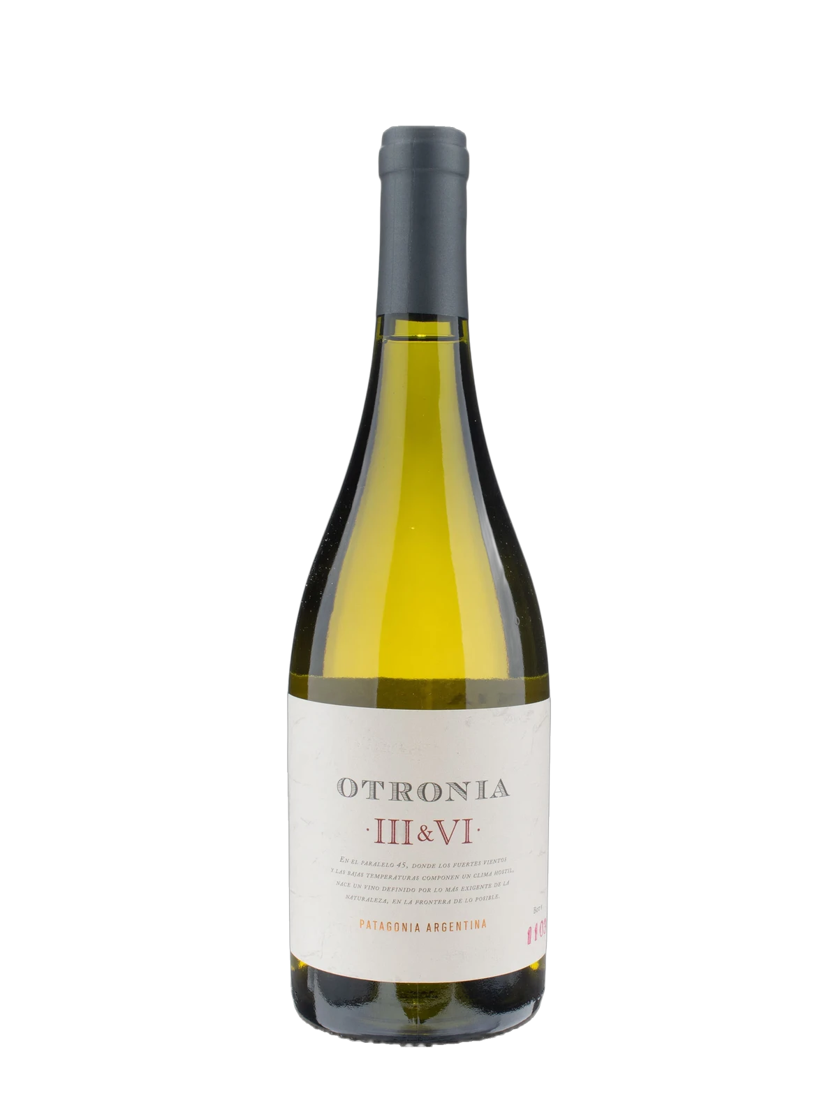 Bodega Otronia III & VI Patagonia Chardonnay