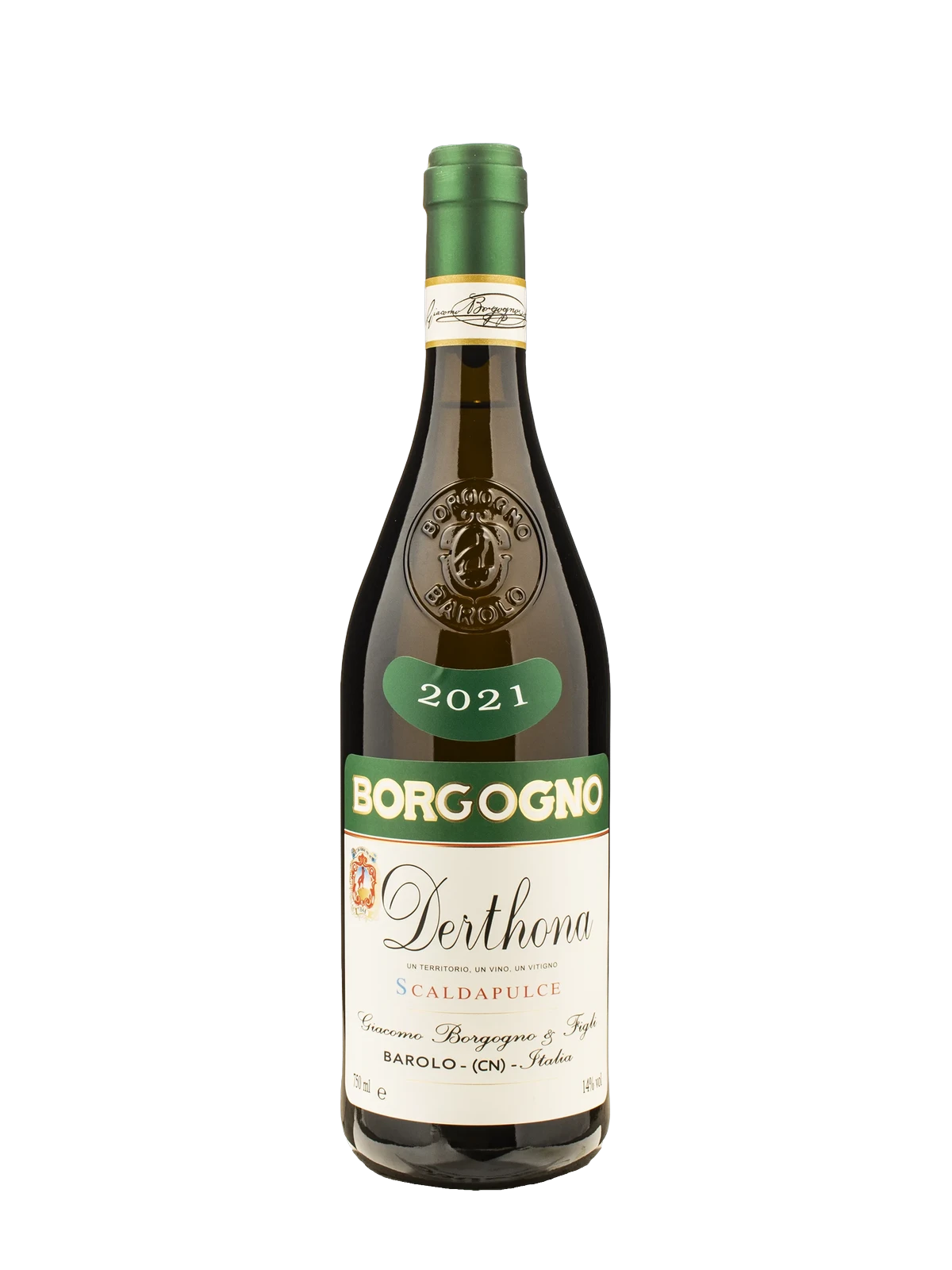 BORGOGNO Derthona Scaldapulce