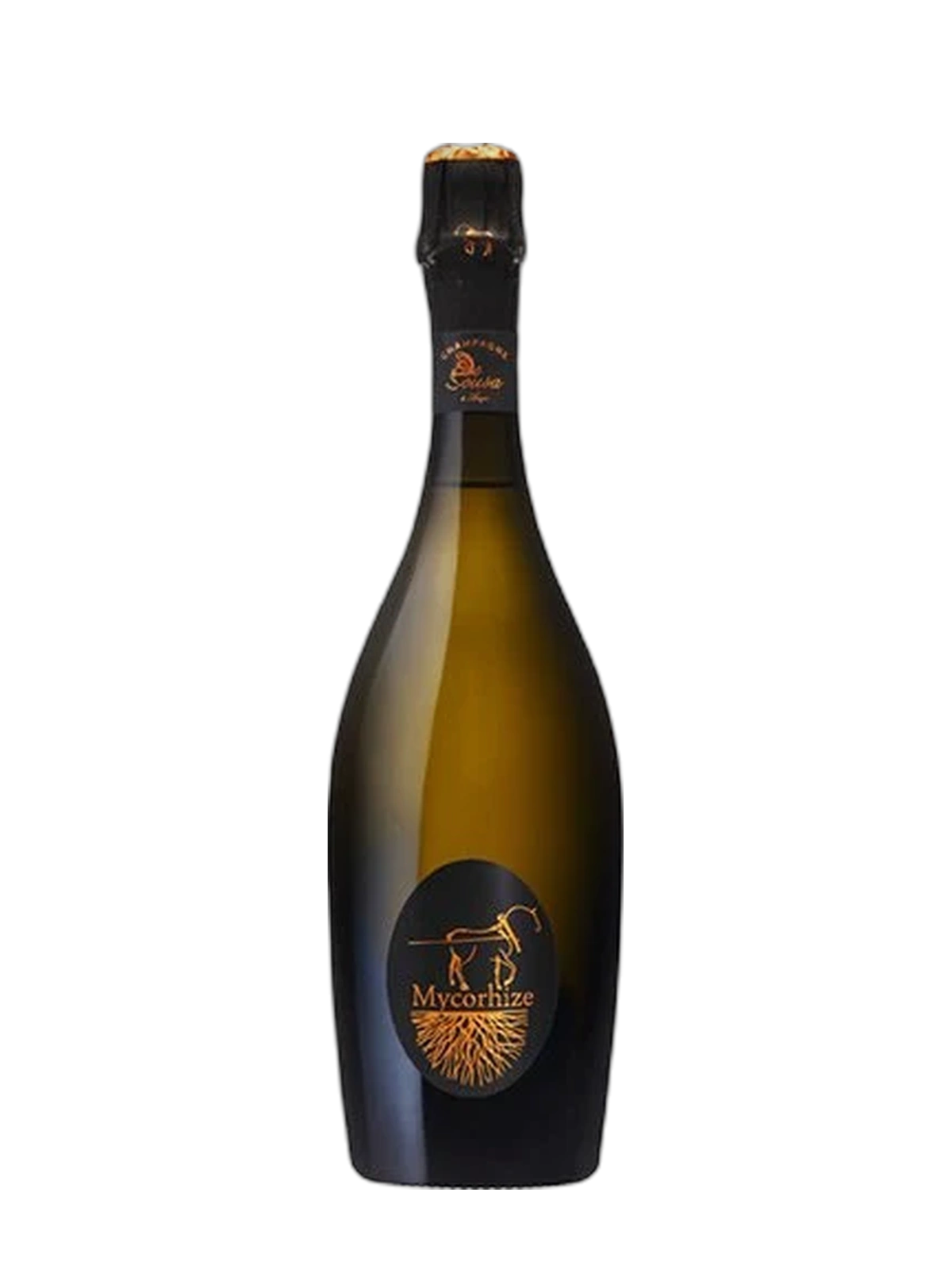 DE SOUSA Mycorhize