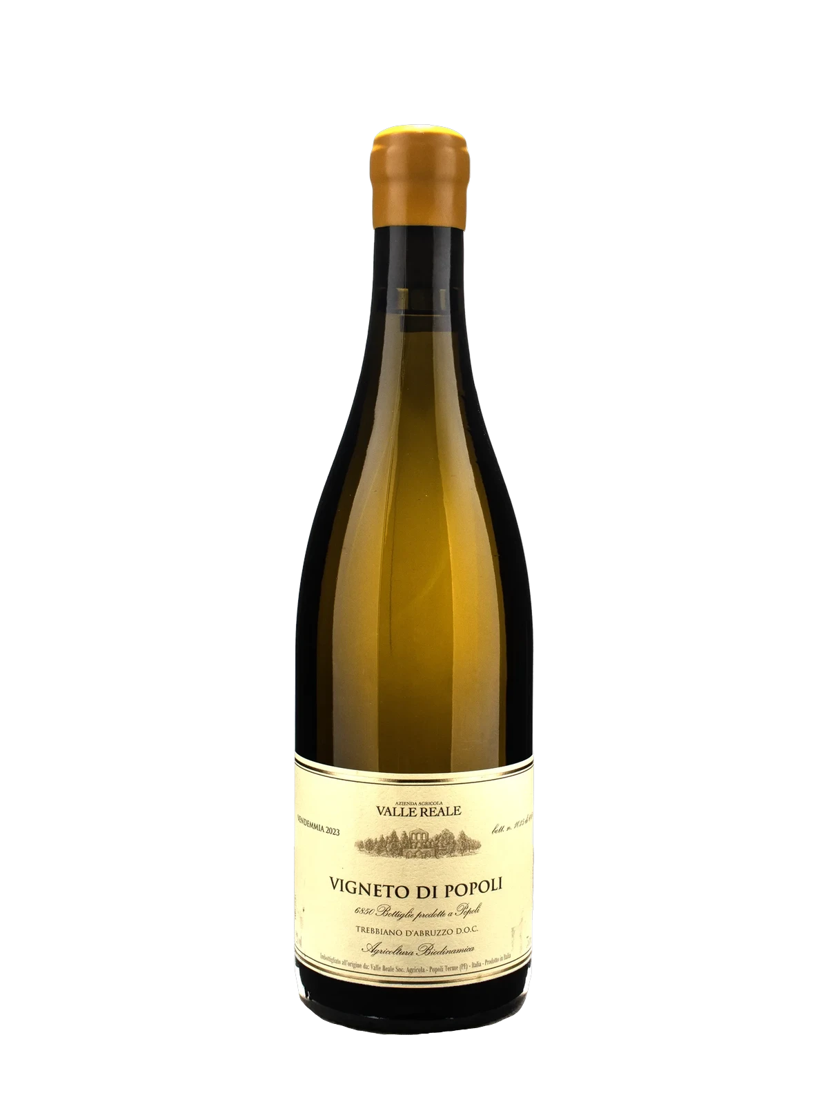 VALLE REALE Trebbiano d'Abruzzo Popoli 2023