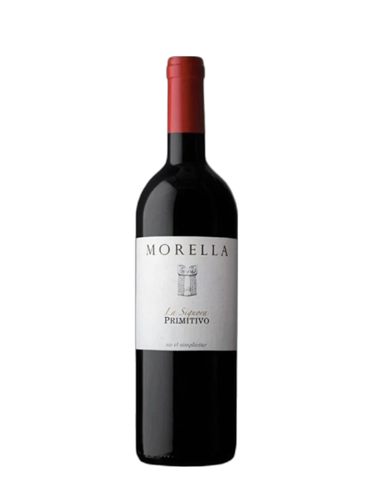 Morella Mondo Nuovo 2019