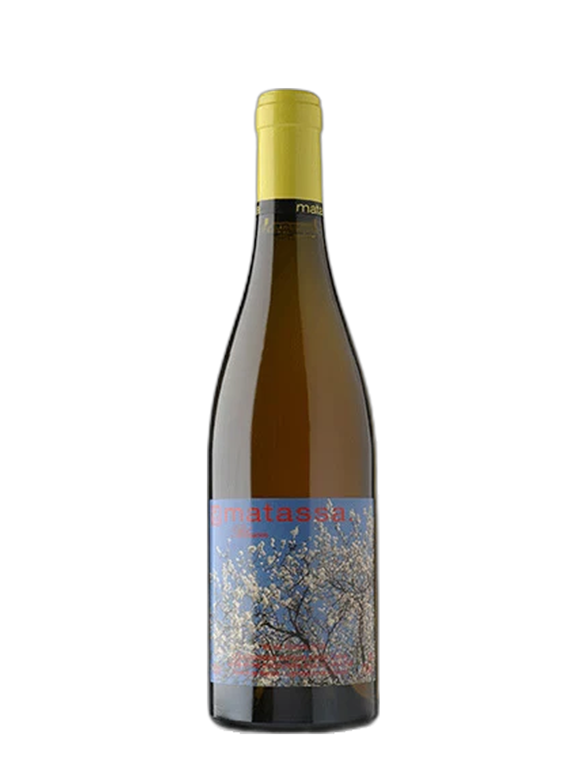 Domaine Matassa Blossom
