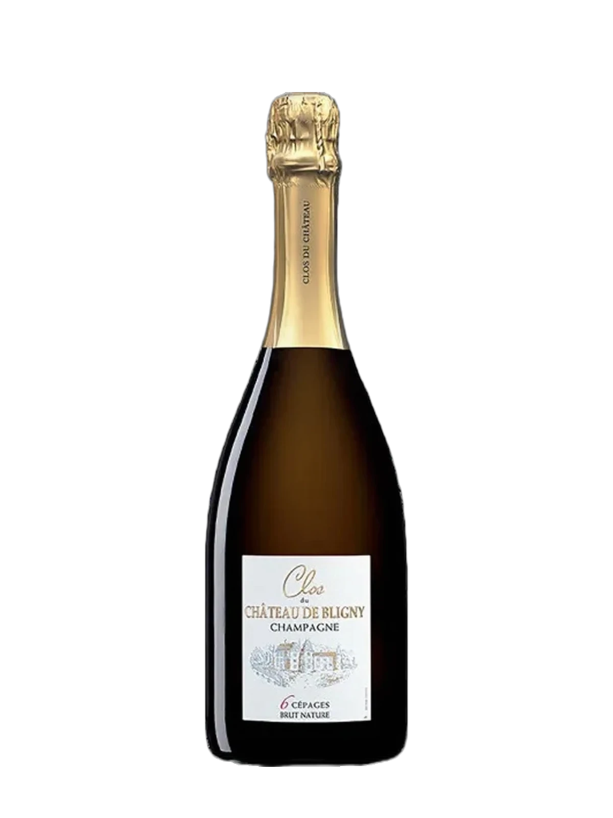 Château de Bligny Clos du Château