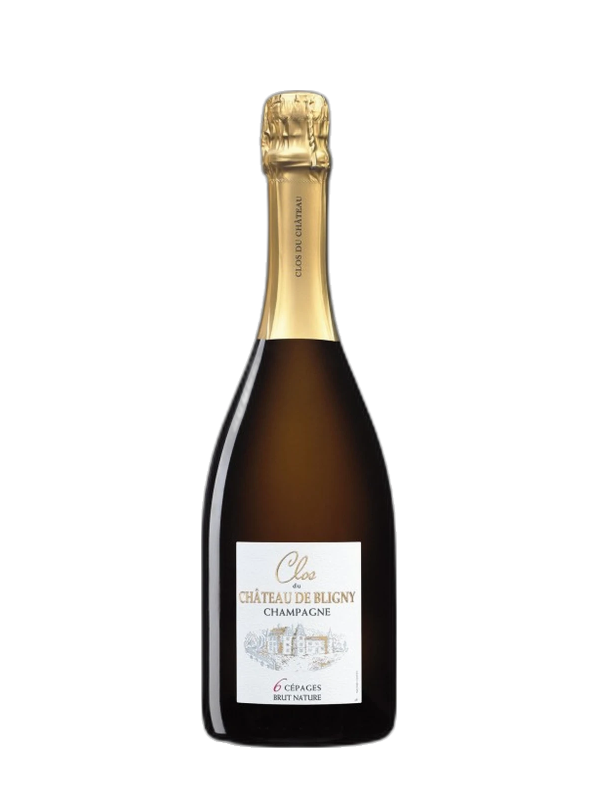 Château de Bligny Clos du Château de Bligny 6 Cépages Brut nature