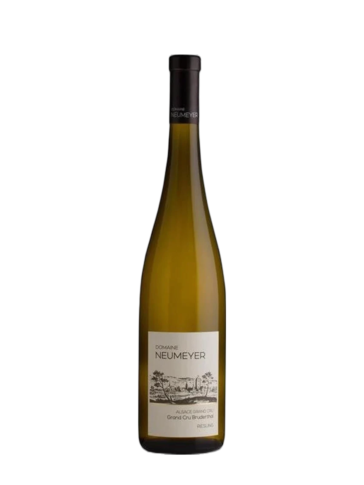 Domaine Neumeyer Riesling Grand Cru Bruderthal