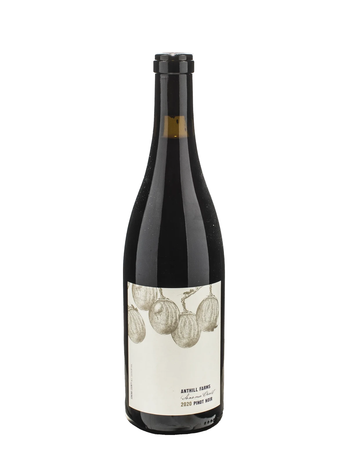 Anthill Farms Winery Pinot Noir Sonoma Coast 2020